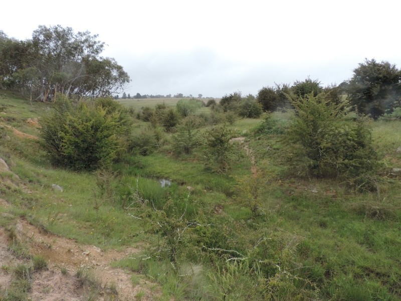 Lot 2 Wollon Hill Estate, Goulburn NSW 2580