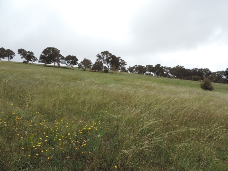 Lot 2 Wollon Hill Estate, Goulburn NSW 2580
