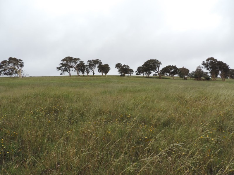 Lot 2 Wollon Hill Estate, Goulburn NSW 2580