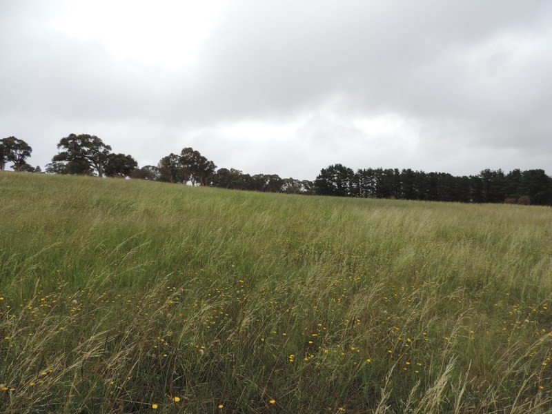 Lot 2 Wollon Hill Estate, Goulburn NSW 2580
