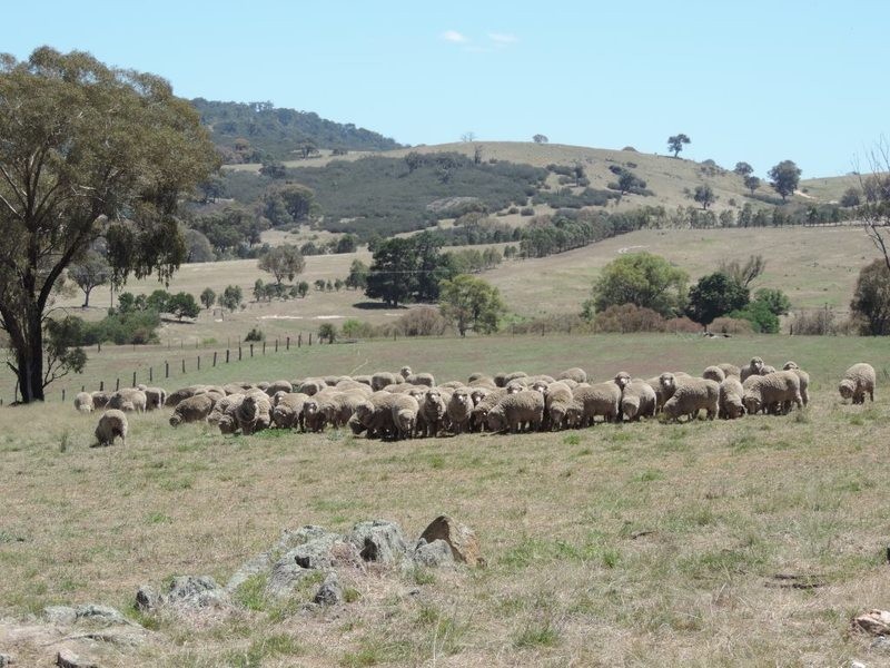 33 Montana Road, Peelwood NSW 2583