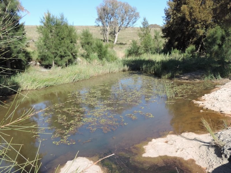 33 Montana Road, Peelwood NSW 2583