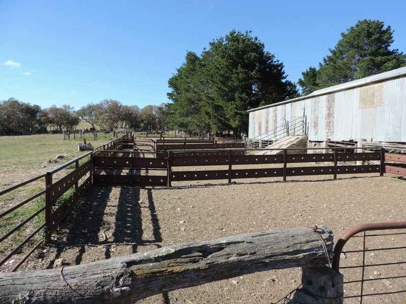 33 Montana Road, Peelwood NSW 2583