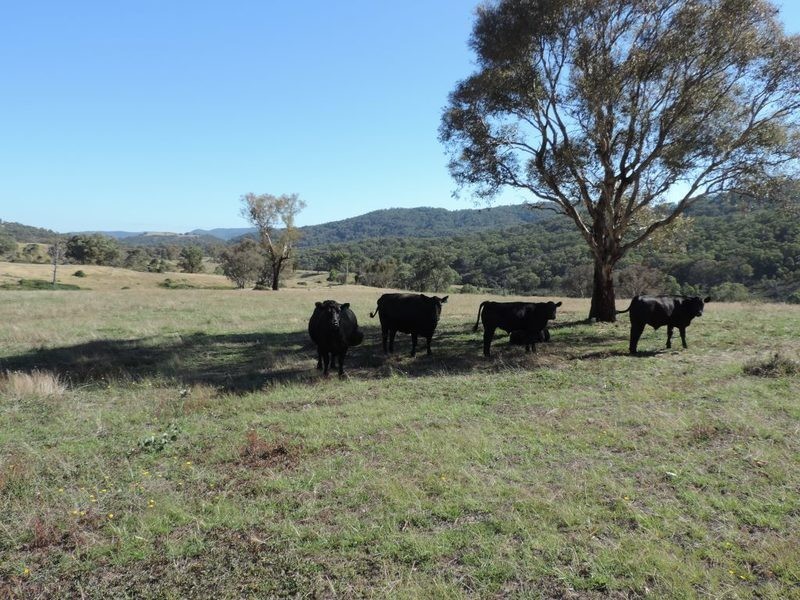 33 Montana Road, Peelwood NSW 2583