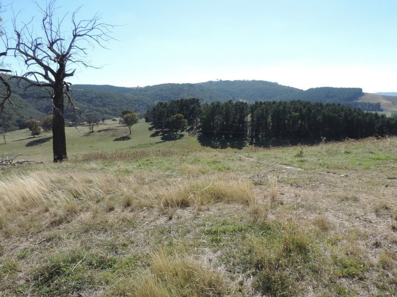 33 Montana Road, Peelwood NSW 2583