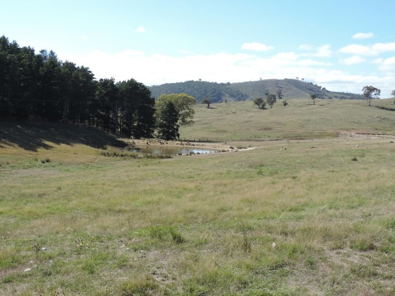 33 Montana Road, Peelwood NSW 2583