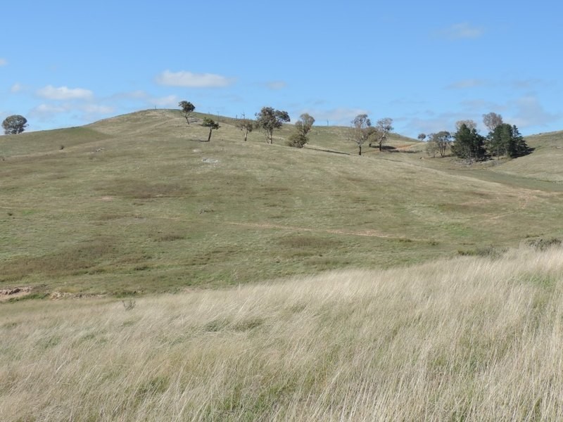 33 Montana Road, Peelwood NSW 2583