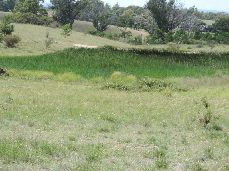 3287 Windellama Road, Windellama NSW 2580