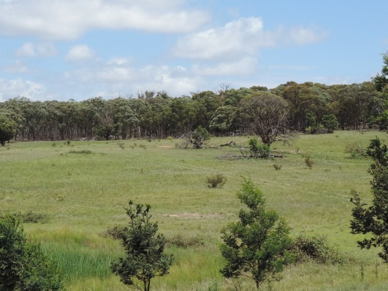 3287 Windellama Road, Windellama NSW 2580