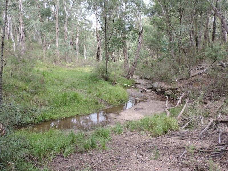 1310 Caoura Road, Tallong NSW 2579