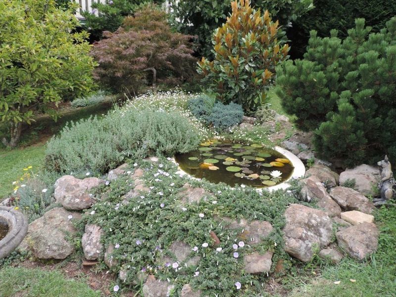 1310 Caoura Road, Tallong NSW 2579