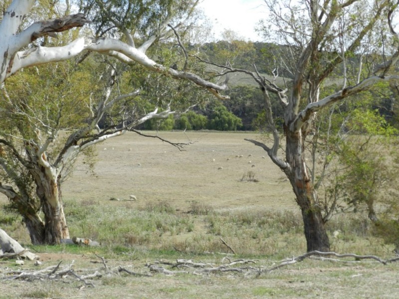 McLennans 1331 Pomaroy Road, Goulburn NSW 2580