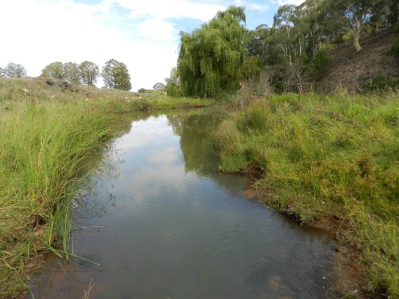 McLennans 1331 Pomaroy Road, Goulburn NSW 2580