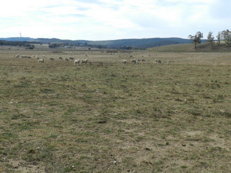 McLennans 1331 Pomaroy Road, Goulburn NSW 2580