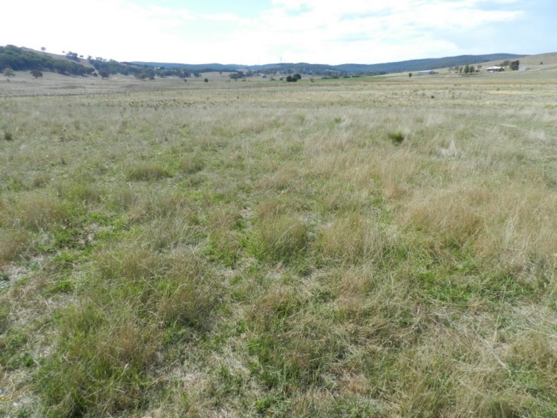 McLennans 1331 Pomaroy Road, Goulburn NSW 2580