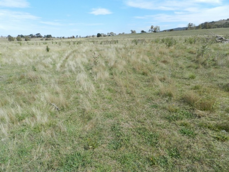 McLennans 1331 Pomaroy Road, Goulburn NSW 2580