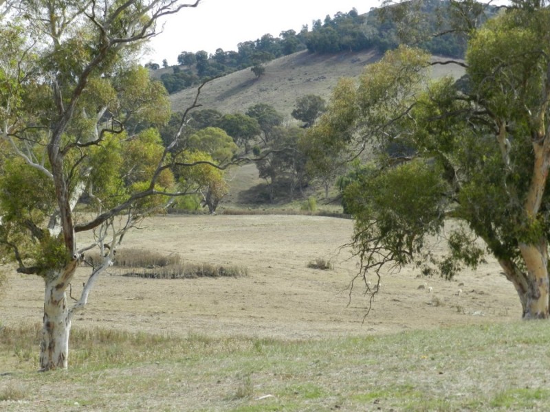 McLennans 1331 Pomaroy Road, Goulburn NSW 2580