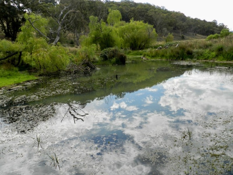 McLennans 1331 Pomaroy Road, Goulburn NSW 2580