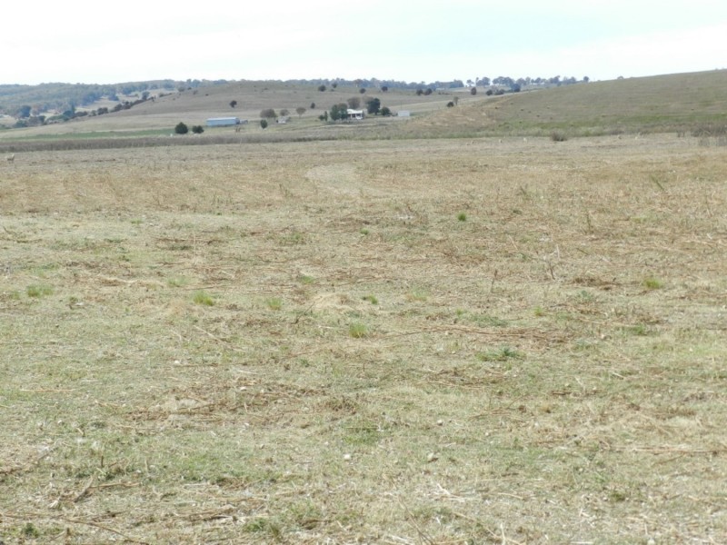 McLennans 1331 Pomaroy Road, Goulburn NSW 2580