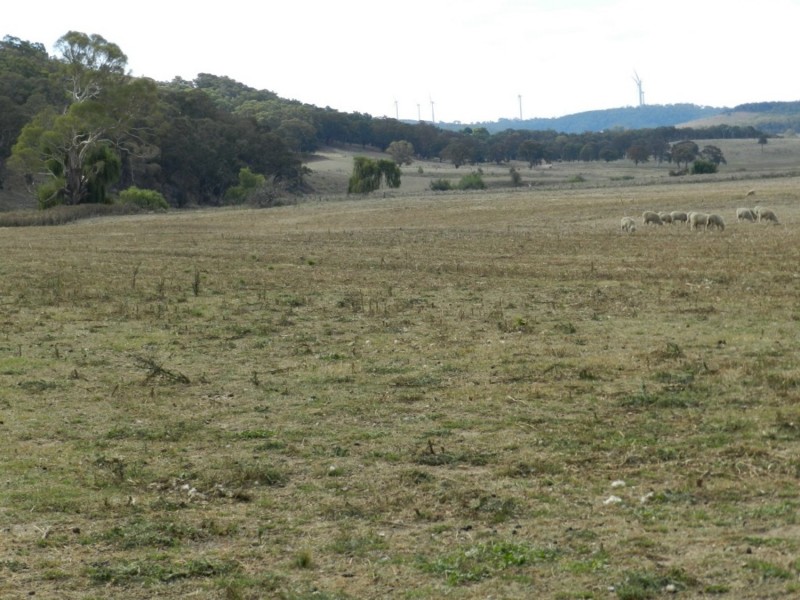 McLennans 1331 Pomaroy Road, Goulburn NSW 2580