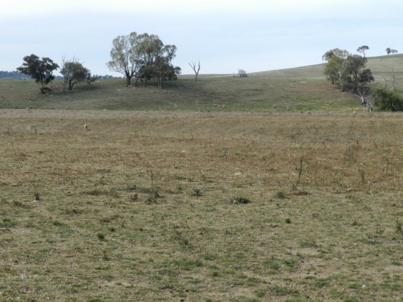 McLennans 1331 Pomaroy Road, Goulburn NSW 2580