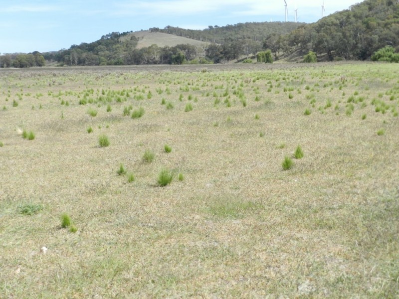 McLennans 1331 Pomaroy Road, Goulburn NSW 2580