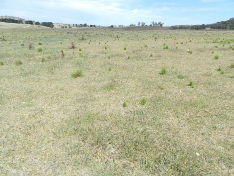 McLennans 1331 Pomaroy Road, Goulburn NSW 2580