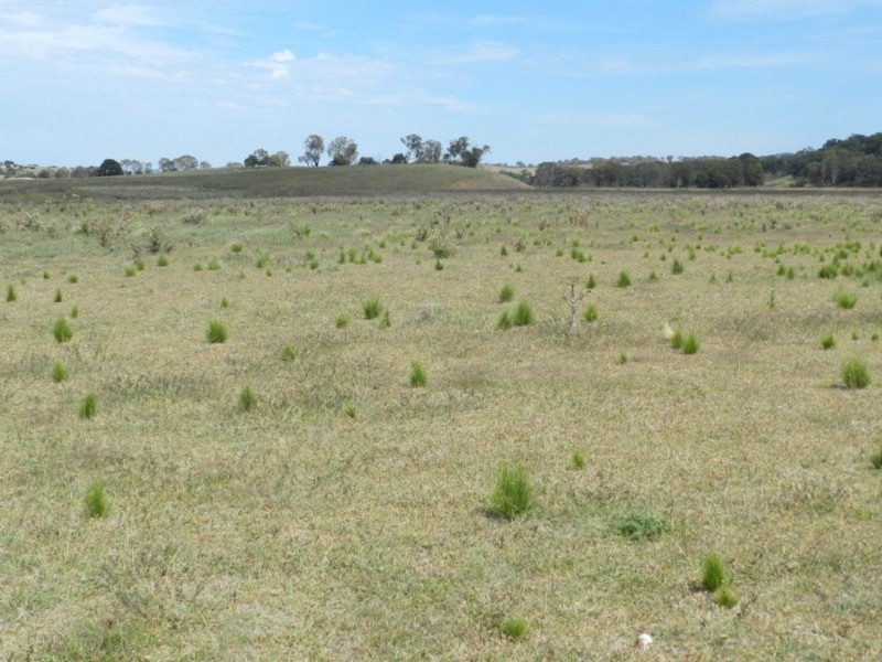 McLennans 1331 Pomaroy Road, Goulburn NSW 2580