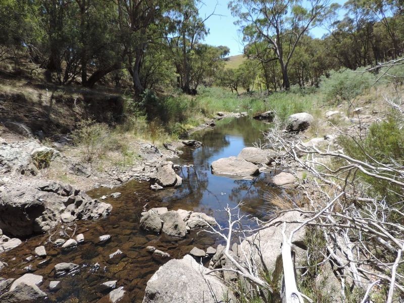 Lot 1 Off Woodville Road, Binda NSW 2583