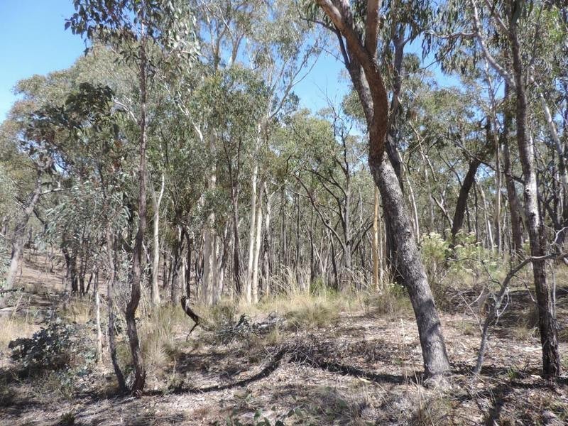 Lot 1 Off Woodville Road, Binda NSW 2583