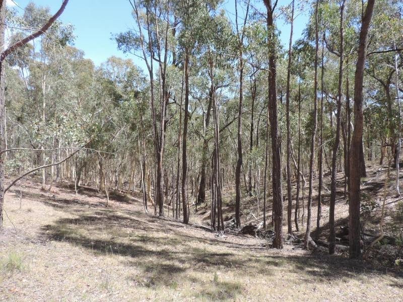 Lot 1 Off Woodville Road, Binda NSW 2583