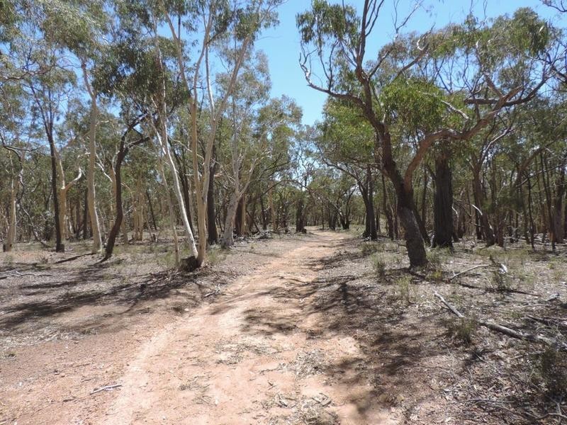 Lot 1 Off Woodville Road, Binda NSW 2583