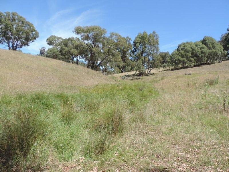 Lot 1 Off Woodville Road, Binda NSW 2583