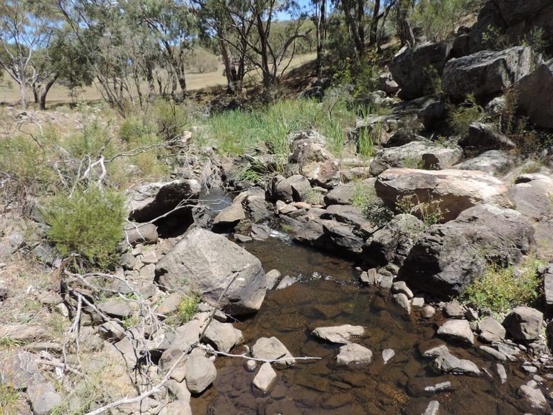Lot 1 Off Woodville Road, Binda NSW 2583