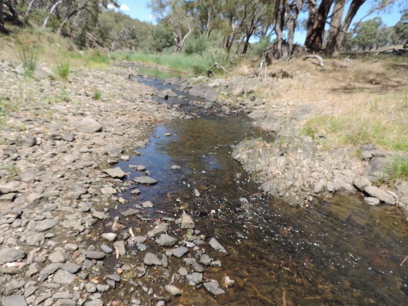 Lot 1 Off Woodville Road, Binda NSW 2583