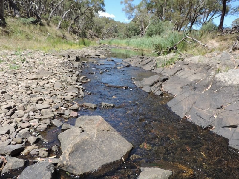 Lot 1 Off Woodville Road, Binda NSW 2583