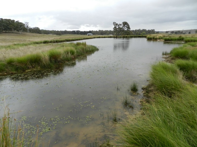 2251 Gurrundah Road, Goulburn NSW 2580