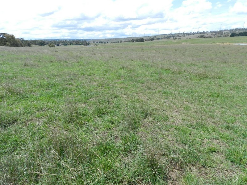 2251 Gurrundah Road, Goulburn NSW 2580