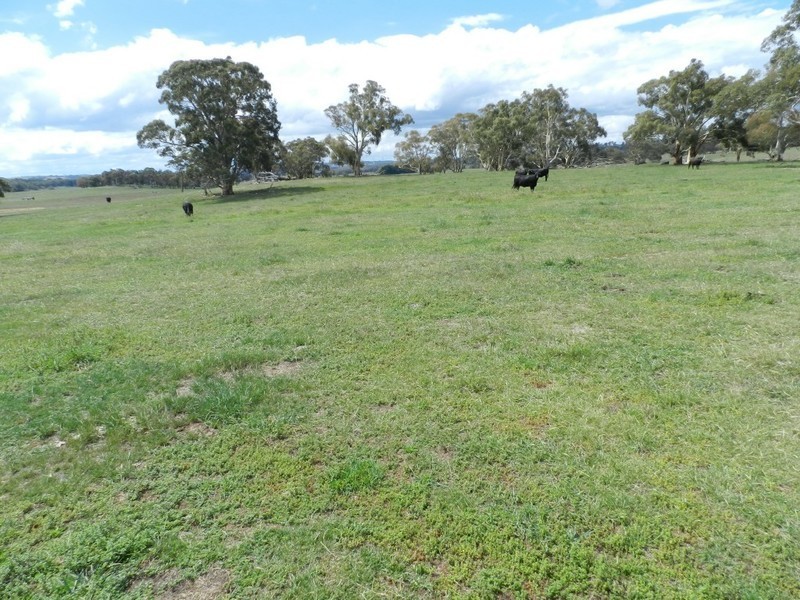 2251 Gurrundah Road, Goulburn NSW 2580