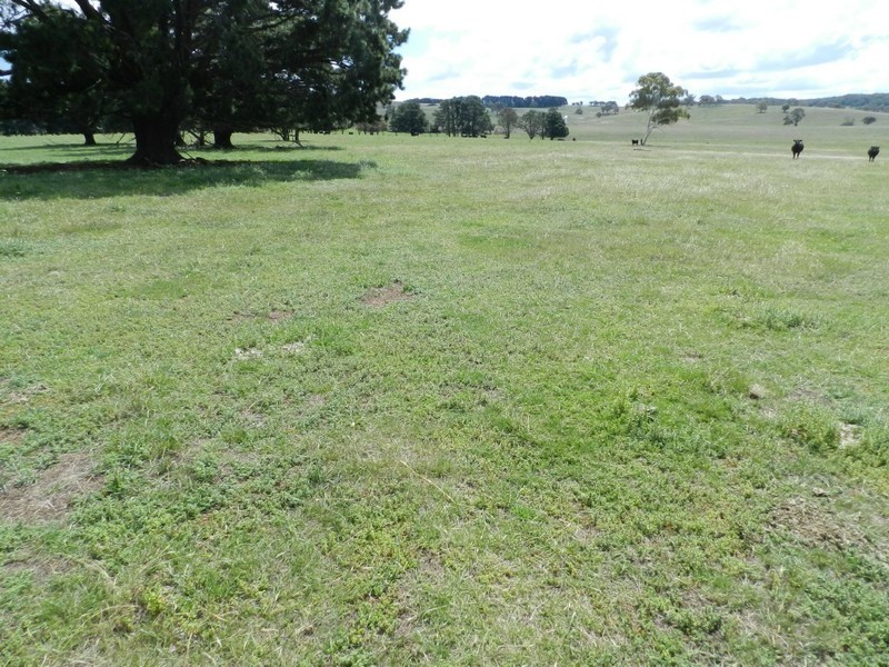 2251 Gurrundah Road, Goulburn NSW 2580