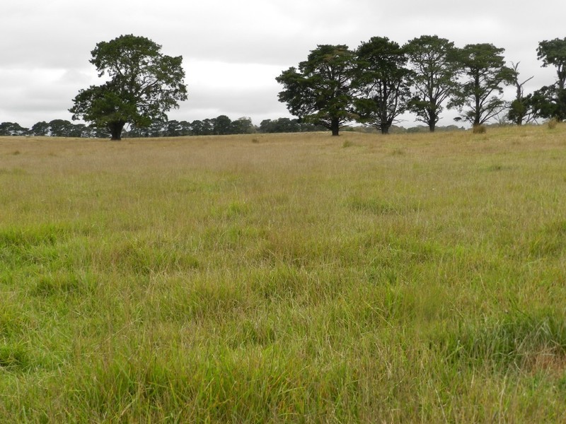 2251 Gurrundah Road, Goulburn NSW 2580