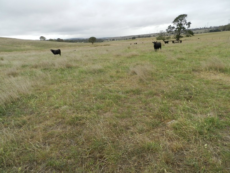 2251 Gurrundah Road, Goulburn NSW 2580