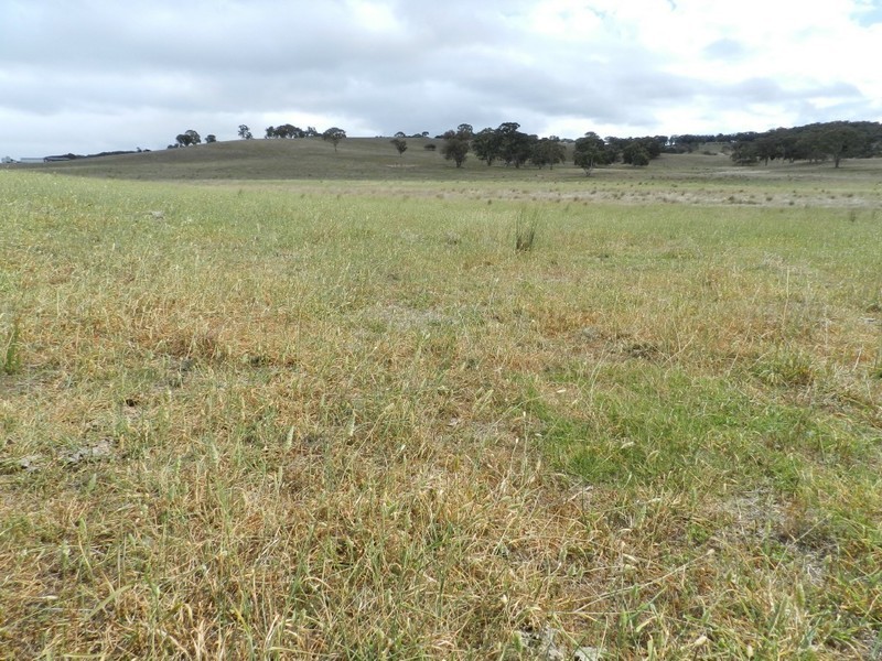 2251 Gurrundah Road, Goulburn NSW 2580