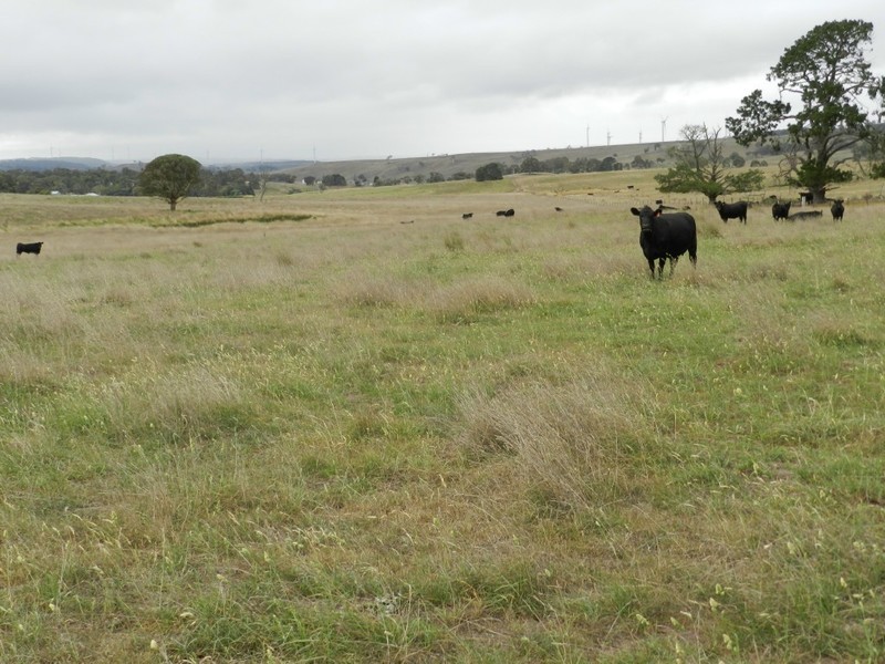 2251 Gurrundah Road, Goulburn NSW 2580