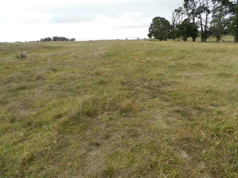 2251 Gurrundah Road, Goulburn NSW 2580