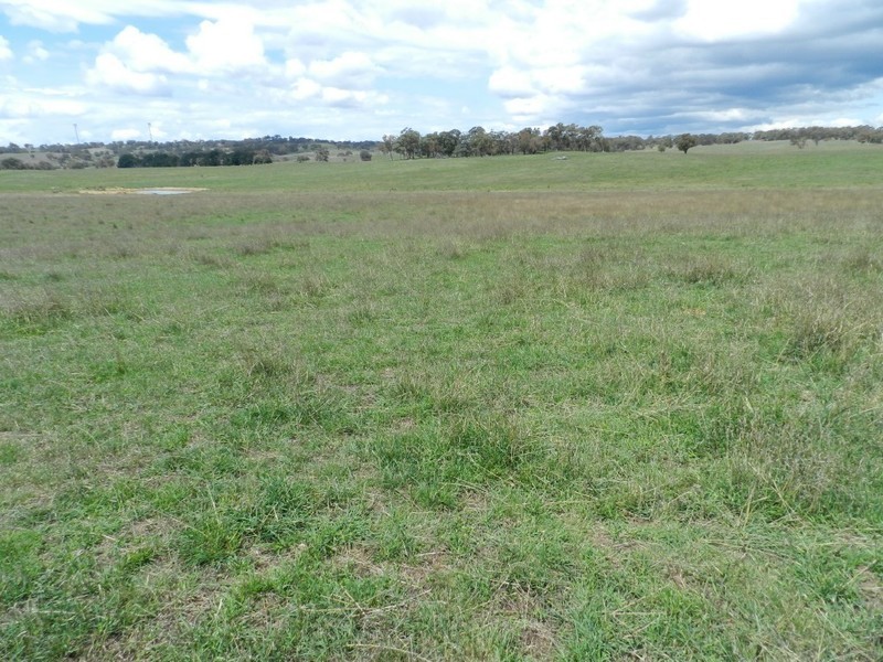 2251 Gurrundah Road, Goulburn NSW 2580