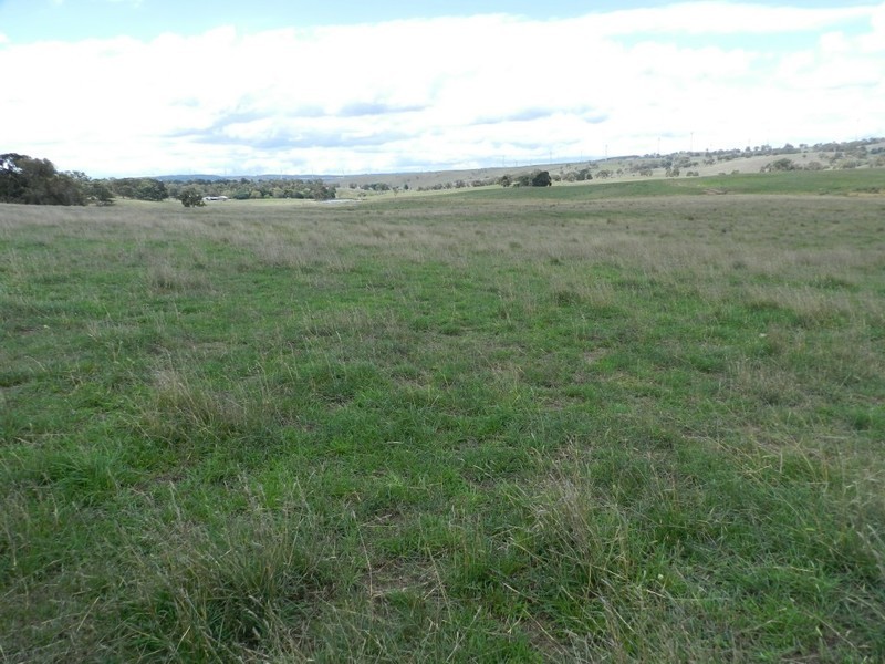 2251 Gurrundah Road, Goulburn NSW 2580