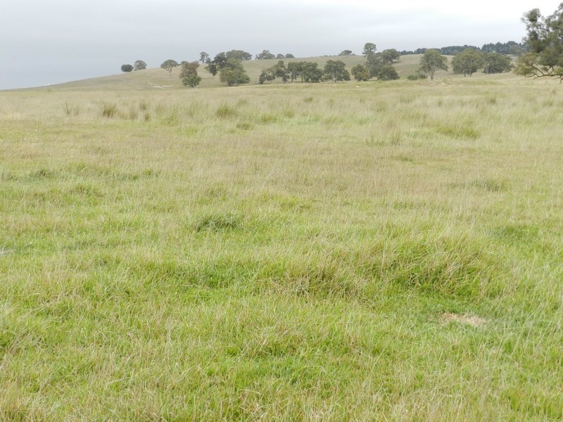 2251 Gurrundah Road, Goulburn NSW 2580