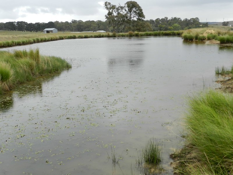 2251 Gurrundah Road, Goulburn NSW 2580