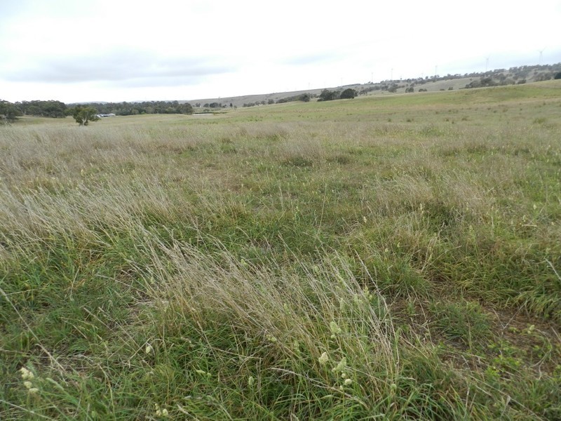 2251 Gurrundah Road, Goulburn NSW 2580